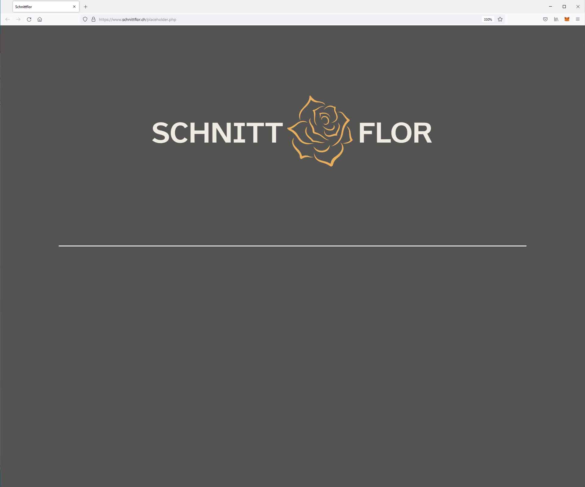 Schnitt-Flor AG
